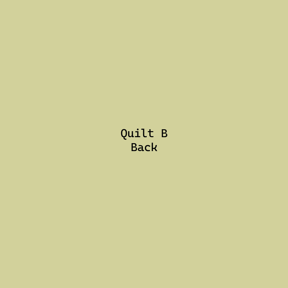 Quilt B back