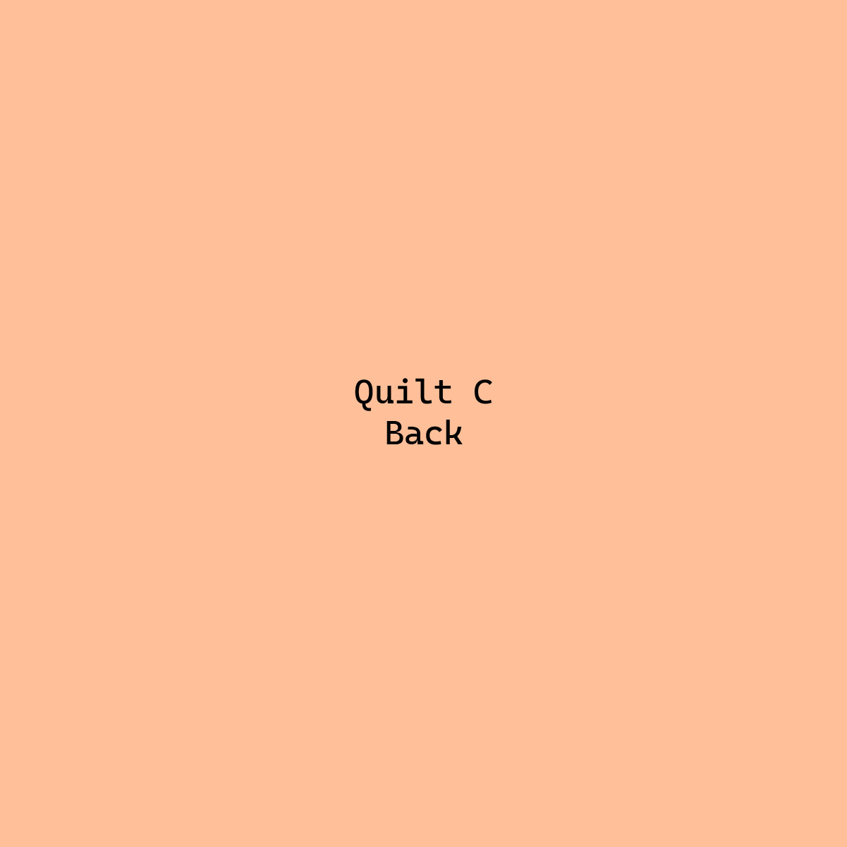 Quilt C back